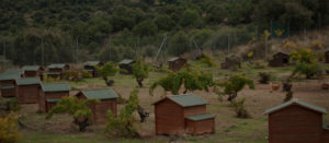 Granja de gallinas ecológica