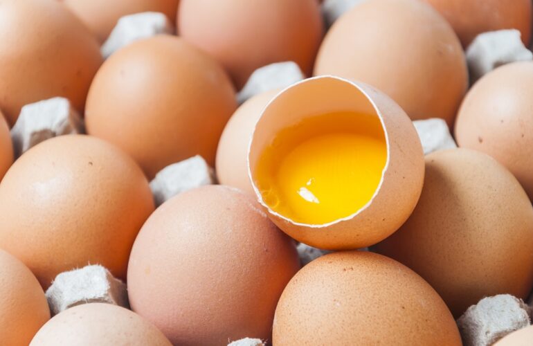 Cuántos huevos pone una gallina al año