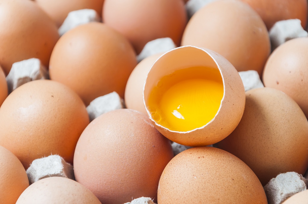 Cuántos huevos pone una gallina al año