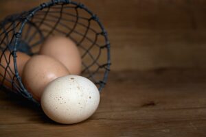 Venta de Gallinas de raza en Madrid y Online