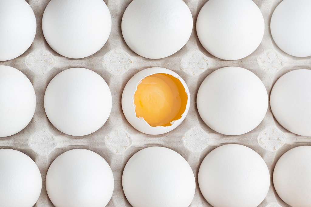 colesterol del huevo