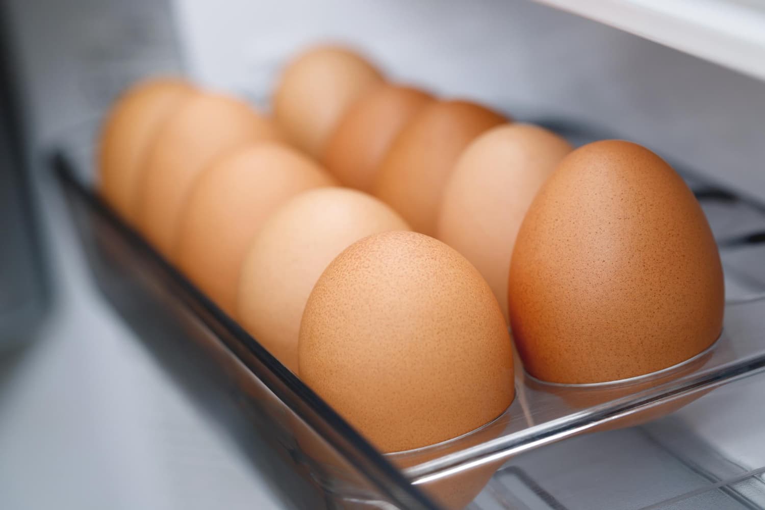 conservación de los huevos