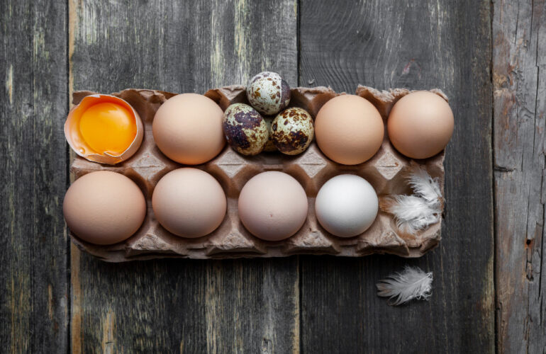 variedades de huevos