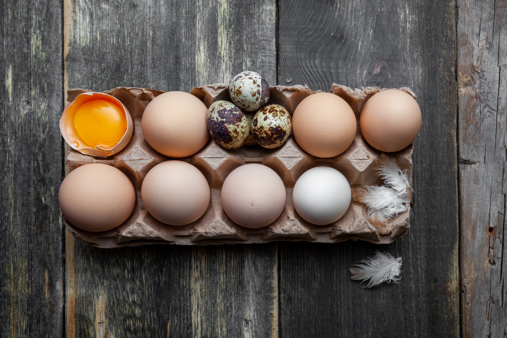 variedades de huevos