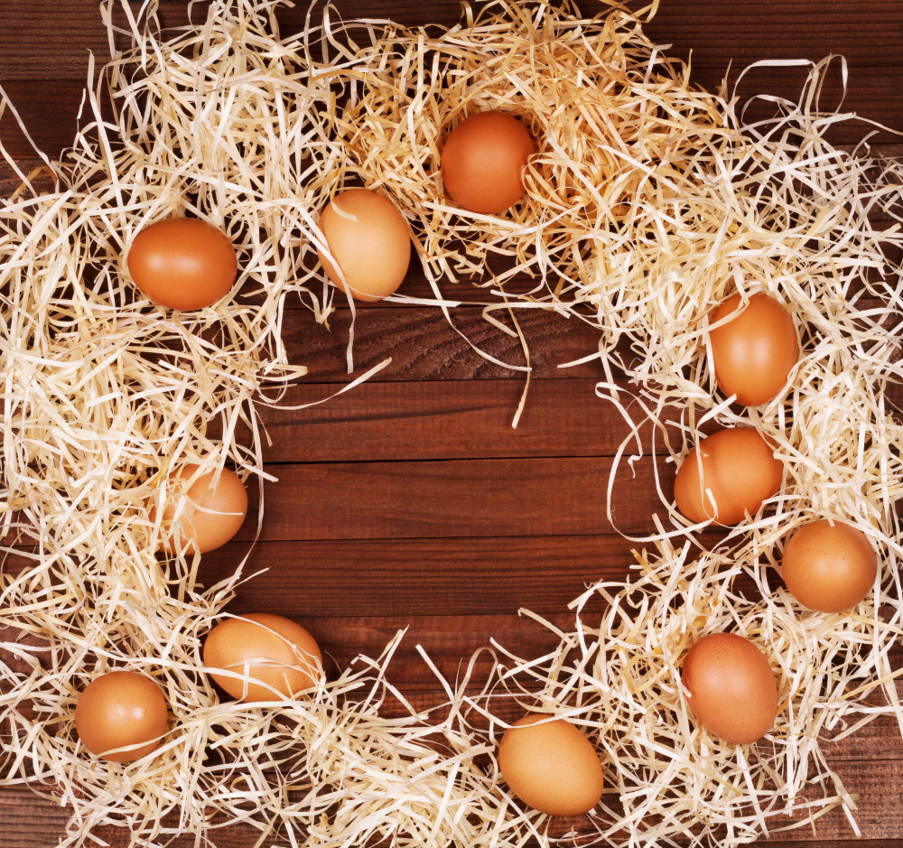 ciencia huevos